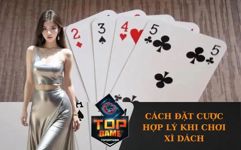Cách đặt cược hợp lý khi chơi Xì Dách