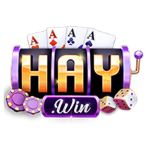haywin-logo